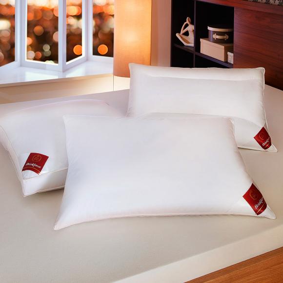 European goose outlet down pillows